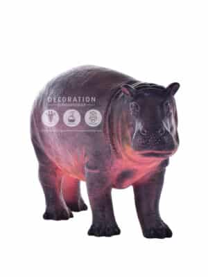 Hippopotame Bébé – Image 2