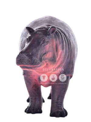Hippopotame Bébé – Image 3