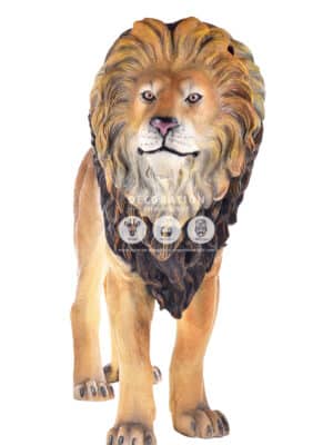 Lion – Image 3
