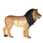 location-lion-savane-decoration-evenementielle-3