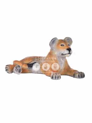Lionceau Couché – Image 2