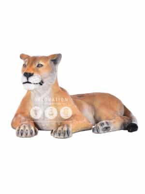 Lionne Couchée – Image 2