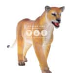 location-lionne-debout-savane-decoration-evenementielle-2