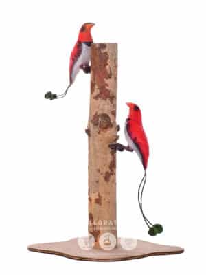 Oiseau de Paradis – Image 2