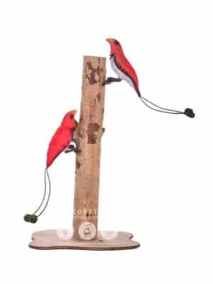 Oiseau de Paradis – Image 3