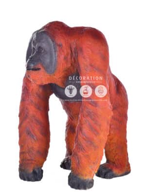 Orang-Outan – Image 2