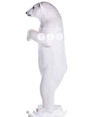 Ours Polaire sur 2 Pattes – Image 3