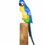 location-perroquet-bleu-tronc-safari-decoration-evenementielle-2