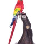 location-perroquet-rouge-perchoir-safari-decoration-evenementielle-2