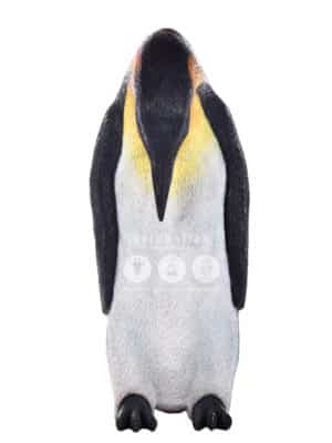 Pingouin Femelle – Image 2