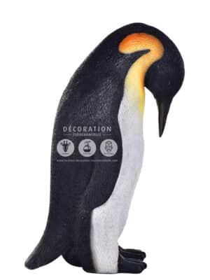 Pingouin Femelle – Image 3