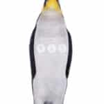 location-pingouin-male-banquise-decoration-evenementielle-1