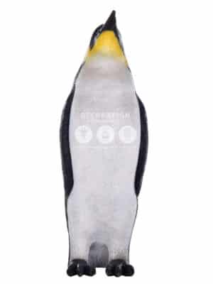 Pingouin Mâle – Image 2