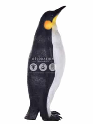 Pingouin Mâle – Image 3
