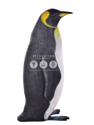 Pingouin Roi – Image 3