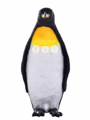 Pingouin Roi Bébé – Image 2