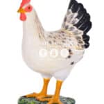location-poule-blanche-ferme-decoration-evenementielle-2