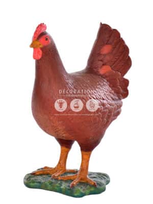 Poule Brun/Rouge – Image 2