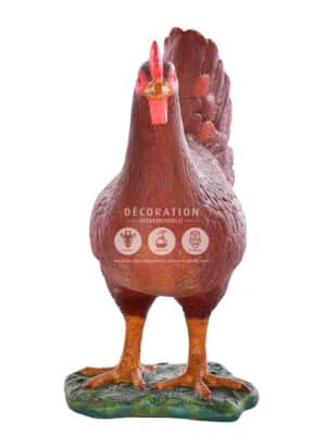 Poule Brun/Rouge – Image 3