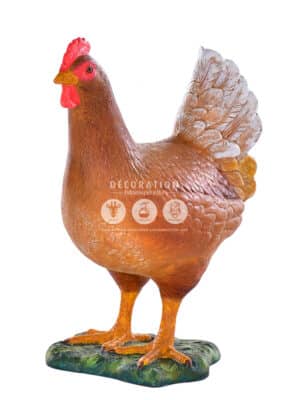 Poule Brune – Image 2