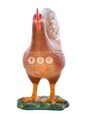 Poule Brune – Image 3