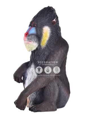 Singe Mandrill – Image 2