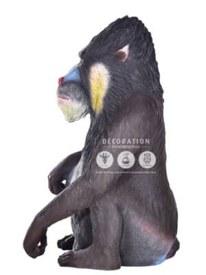 Singe Mandrill – Image 3
