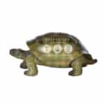 location-tortue-safari-decoration-evenementielle-3