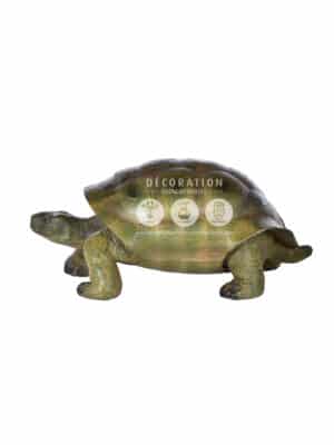 Tortue – Image 3