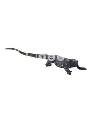 Varan Monitor – Image 2