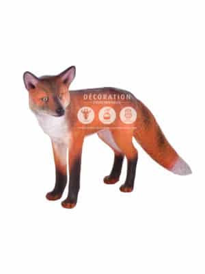 Renard – Image 1
