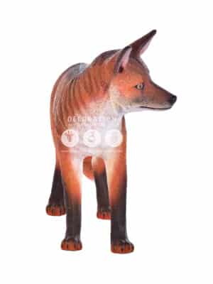 Renard – Image 3