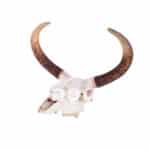 location-crane-taureau-indien-decoration-evenementielle-2