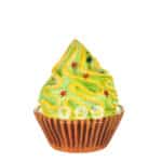 location-cupcake-vert-gourmandise-decoration-evenementielle-3