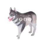 location-husky-siberien-banquise-decoration-evenementielle-1