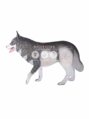 Husky Sibérien – Image 3