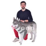 location-husky-siberien-banquise-decoration-evenementielle-4